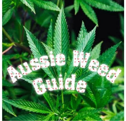 Aussie Weed Guide | Buy Weed | Buy weed online in Australia | thc vape carts | weed in Aussie | dank | 420 | weed store Aussie | Buy thc vape in Australia | Order weed pen | weed pen | weed cart | thc | thc online shop | dank weed | tourists weed guide