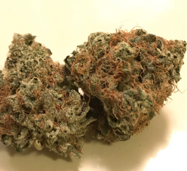 Buy Alien OG Aussie - Image 3