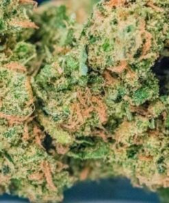 Alternative view of Blue Dream Online