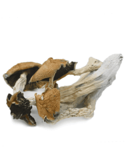 Alternative view of Blue Meanie