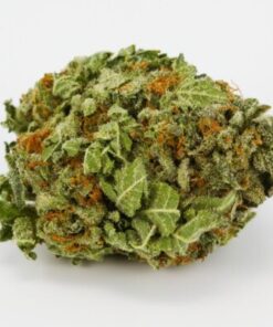 Alternative view of Buy Candy Land Weed