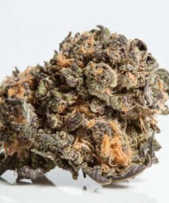 Alternative view of Granddaddy Purple
