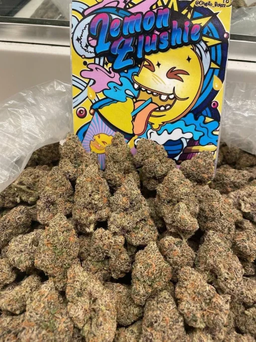 Lemon Slushie Online