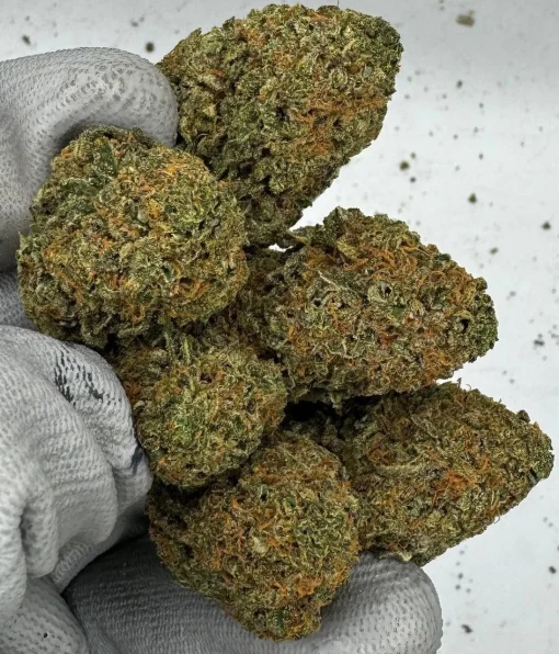 Buy Stardawg Weed Online